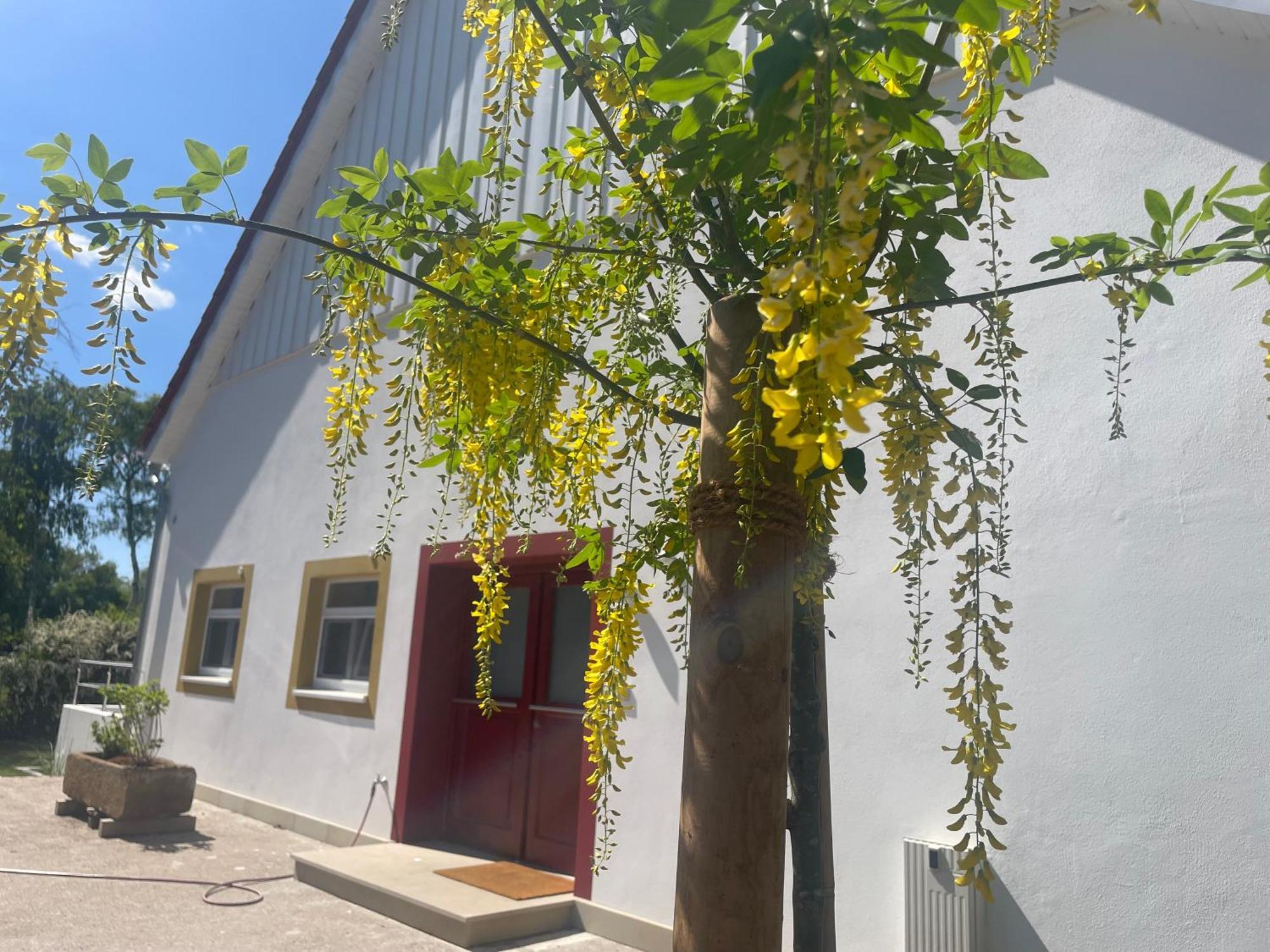 Appartement Mit 2 Schlafzimmern Und Terrasse Halle  Exteriér fotografie